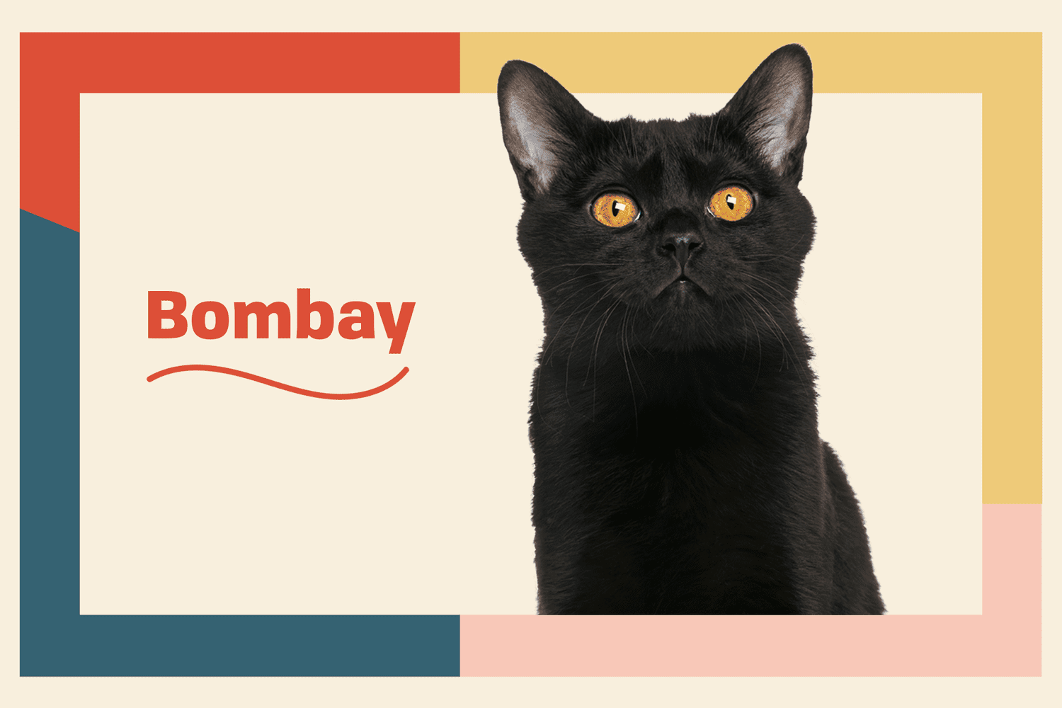 Bombay