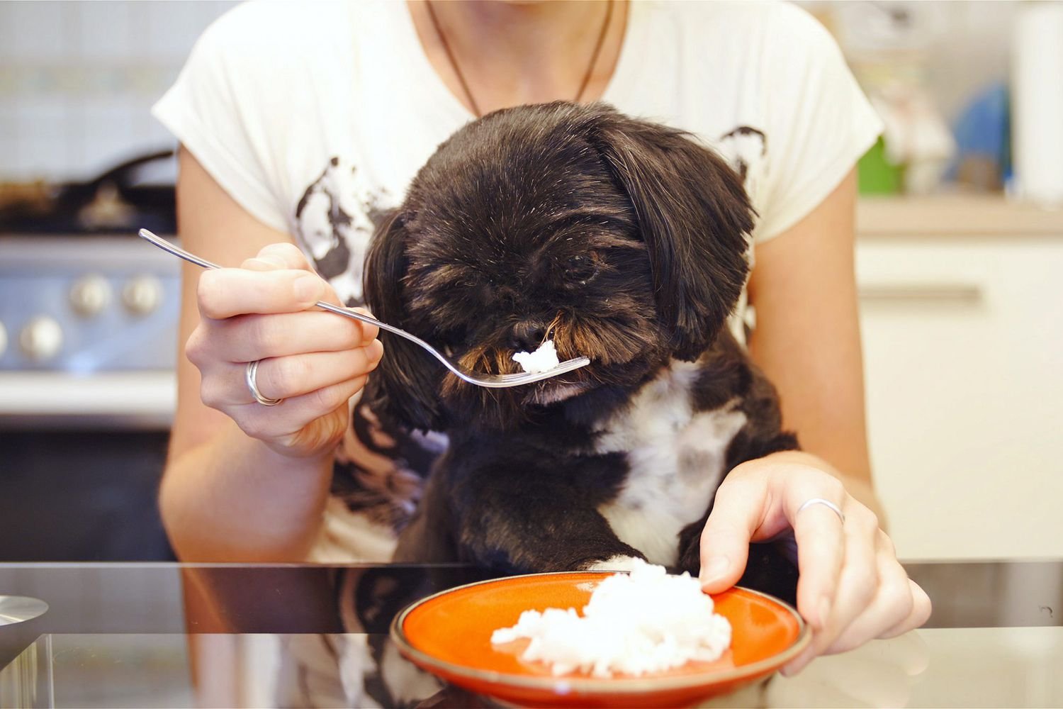 Can Dogs Eat Rice? A Pet Nutrition Specialist Weighs In