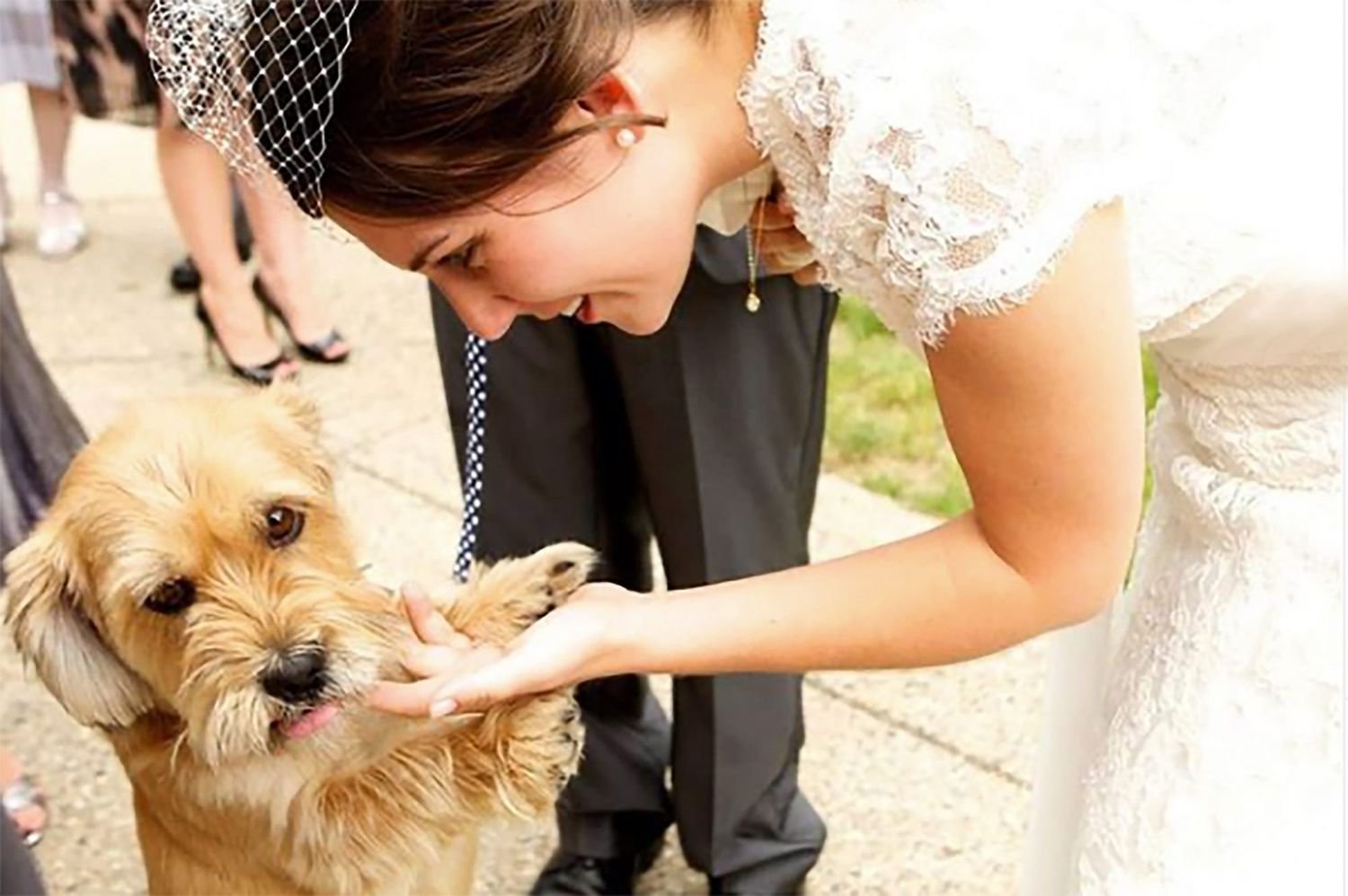 Awww! Take a Peek at 15 of the Most Adorable Pets in Weddings on Instagram