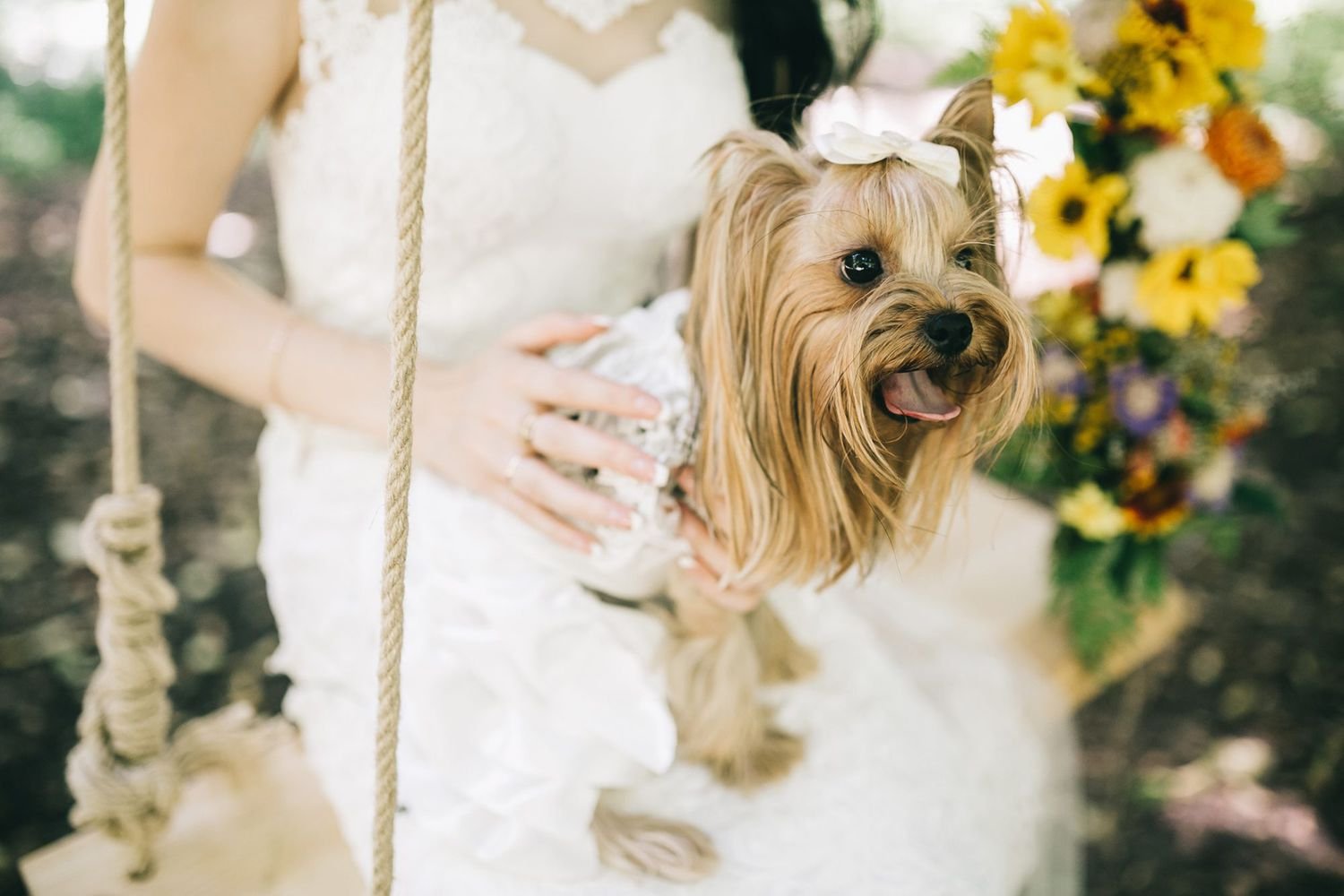 15 Times Dapper Dogs in Wedding Attire Almost Outshined the Happy Couple