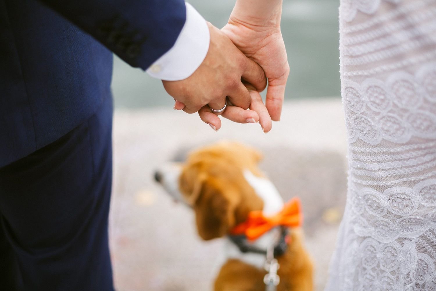 7 Things to Consider Before Adding Your Pet to Your Wedding Party
