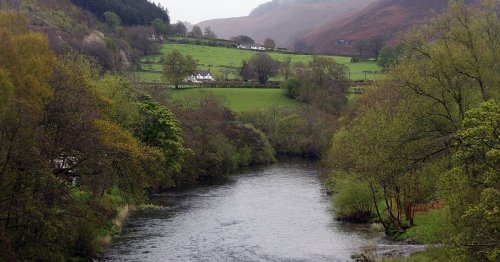Festival horror as car ploughs over tent and into family at North Wales event