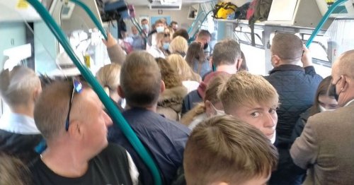 Picture shows passengers packed into Transport for Wales train 'like sardines'