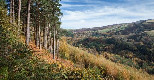 North Wales beauty spot facing weeks of closures to tackle silent killer