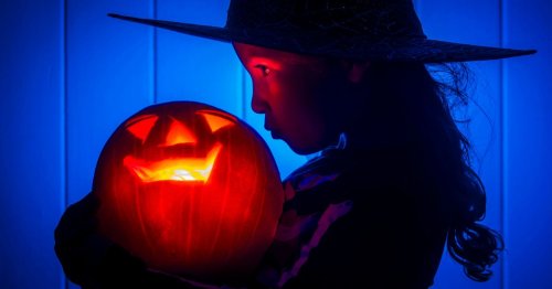 6 different ways to celebrate Halloween season in North Wales