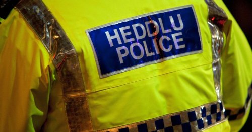 Man dies after Renault 'hits parked car' in early hours crash