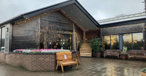 North Wales garden centre with adored cafe named the best in the UK