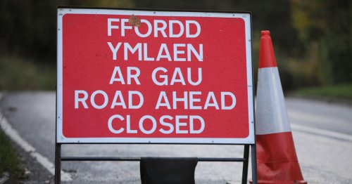 Live updates as fallen tree shuts key Caernarfon road