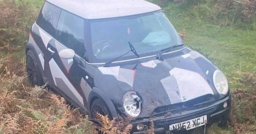 Mum tells how crash into ditch left seriously injured daughter 'traumatised'