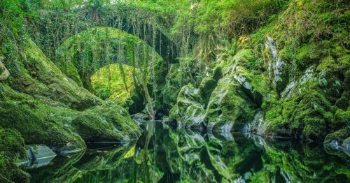 Lord of the Rings Snowdonia gorge with ancient bridge guarded by 'fearsome cockerel'