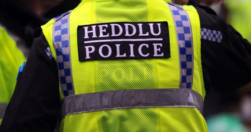 Driver 'on wrong side of carriageway' arrested on suspicion of drink-driving