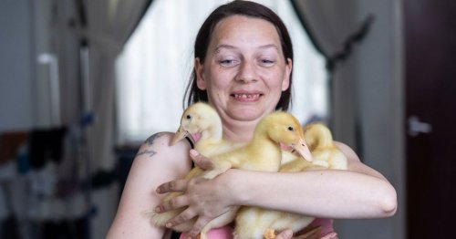 Mum delighted as eggs she bought in Morrisons hatch into cute pet ducklings