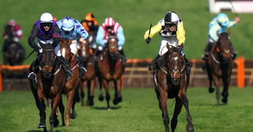 I'm an Irish Grand National jockey riding a 50/1 shot but I really fancy the second favourite to win at Fairyhouse