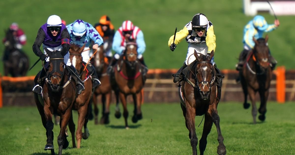 I'm an Irish Grand National jockey riding a 50/1 shot but I really fancy the second favourite to win at Fairyhouse