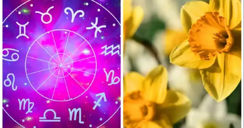 How the Spring Equinox will make your star sign reevaluate love life, friendships and finances