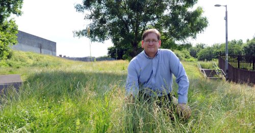 Calls to end war of words over North Lanarkshire grass cutting saga