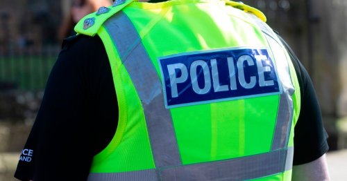 Cops called in after group of thugs vandalise Falkirk area nursery