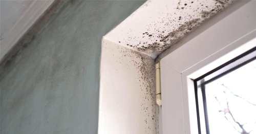 Savvy dad's 'game-changing' hack tackles damp and mould caused by condensation