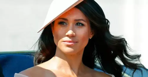 'I'm not saying it was a rip-off... but Meghan Markle's children's story was VERY similar to mine'