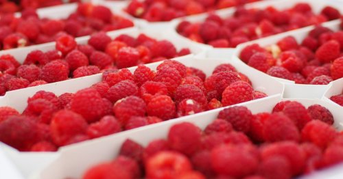First Scots berry company ditches single use plastic packing