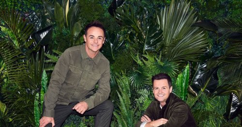 Big names who will be back in jungle for all stars I'm A Celebrity revealed