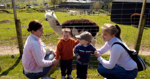 Scottish wildlife centre crowned 'most child friendly' campsite this summer - Daily Record