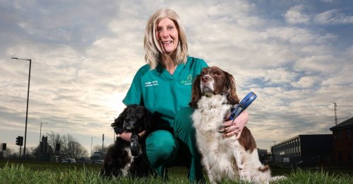 Dog saves nurse's life after headbutting her in chest at vet's to reveal hidden cancer