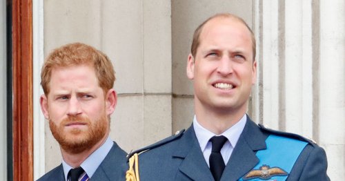 Prince Harry and William used secret code to communicate at royal funeral