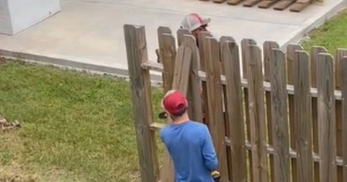 Homeowner shows off 'ultimate revenge' after neighbour builds fence through garden