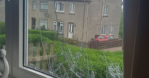 Partially Blind Scots Woman Left Living In Fear After Thug Smashes Window With Rock Flipboard