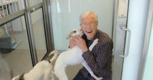 Paul O'Grady suits up for TV special as Battersea dogs home celebrates 160 years