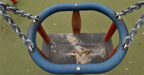 Scots parents left disgusted after children's playpark is smeared with 'dog poo'