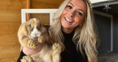 Rescue rabbit spurs new owner into creating luxurious bunny hotel