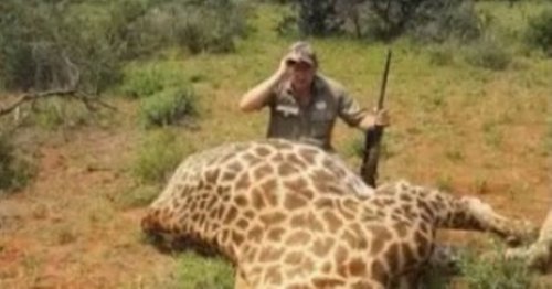 Wildlife trophy hunter gunned down in 'execution-style' murder next to car