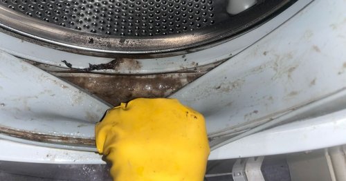 'I cleaned my washing machine using £1.50 hack - it removed years of grime and sludge'
