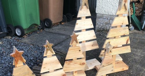 Ayrshire nurse carves out Christmas cheer by raising festive funds through wooden tree sales