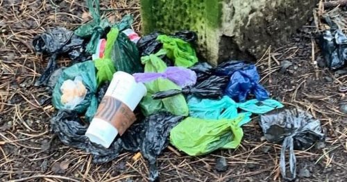 Lanarkshire beauty spot issues urgent plea after piles of dog poo bags dumped at entrance
