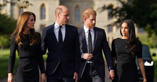 Prince William's controversial TV appearance to upset Meghan and Harry - Daily Record