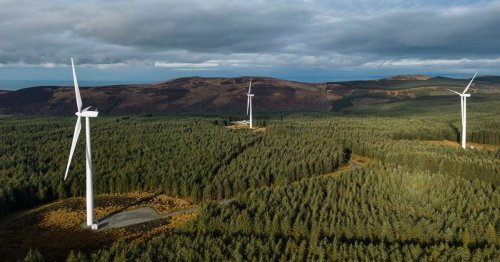Dozens of turbines at Scots windfarms powered by diesel generators as 'environmental madness' blasted