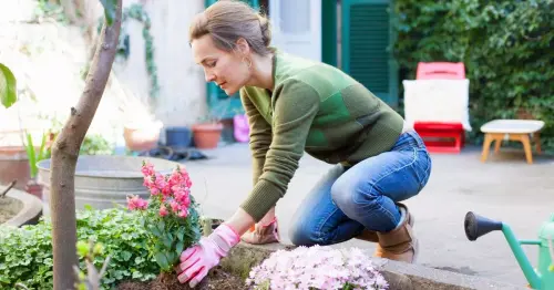 Gardening expert shares why 'starting too early' may ruin your outdoor space