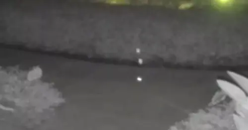 Creepy doorbell footage of 'ghost' walking past home at night baffles internet