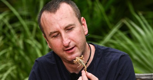 The truth about what happens to the animals on I'm A Celebrity