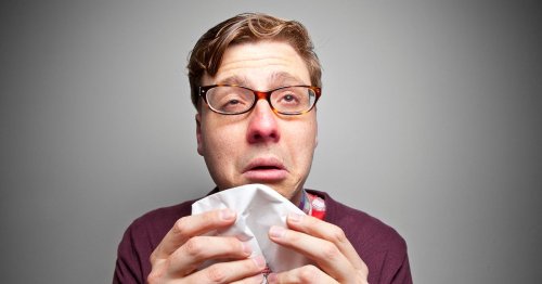 UK hay fever explosion to see millions of Brits suffer sneezing misery this week