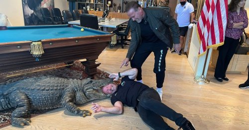 Alan Shearer ‘becomes crocodile dinner’ in visit to unlikely pal Schwarzenegger
