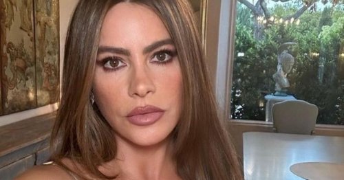 Sofia Vergara Thrills Fans With Dazzling Mirror Selfie In White Strapless Top Flipboard 