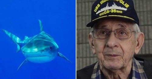 Survivors of world's deadliest shark attack 'haunted' by blood-curdling screams
