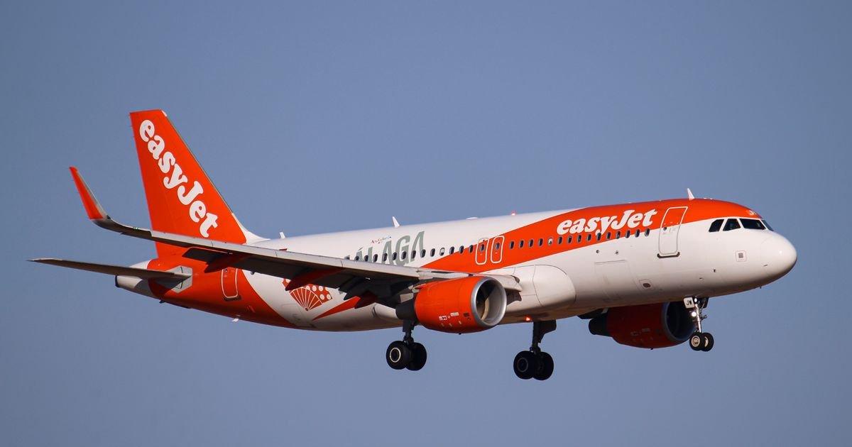 Woman dies on easyJet flight as three plane passengers fight to save her life