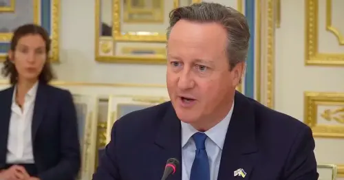 David Cameron's four-pronged war promise to Zelenskyy after landing in Ukraine