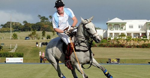 Prince Harry at home in 'cool' polo team as he's treated ‘like one of the guys’
