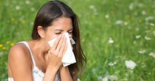 Week of thunderstorms to trigger misery for millions from hay fever pollen bomb